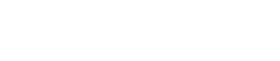 logo light